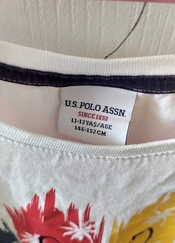 U.S Polo Assn. Tişört 