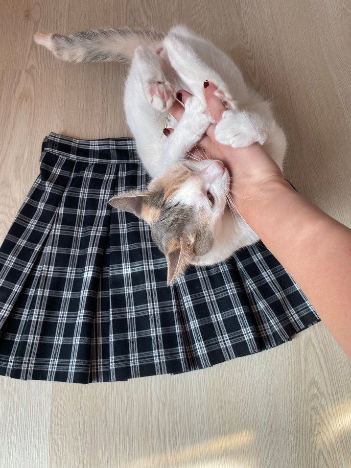 Siyah Ekose Pileli Midi Etek - Görsel 2