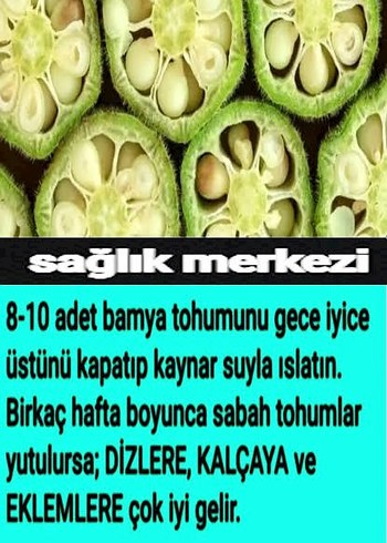 Beden Renk bamya tohumu
