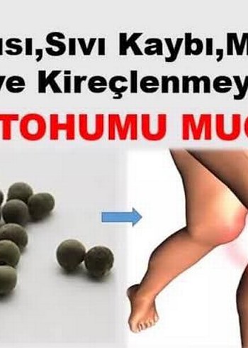 Diğer bamya tohumu