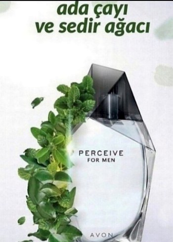 Avon Perceive Erkek Parfümü - Ada Çayı & Sedir Ağacı