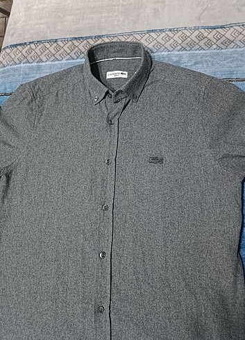 Lacoste gömlek - Görsel 3