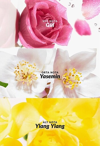 Avon Soft Musk Sıfır Kadın Parfümü EDT