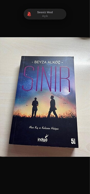 beyza alkoç sınır