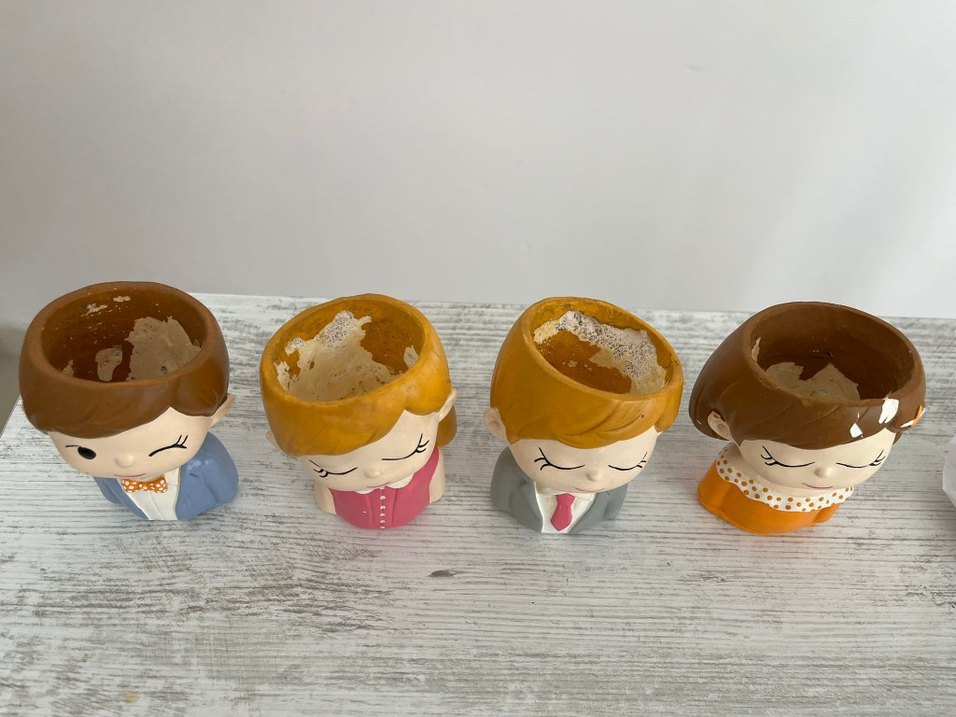 Saksı seti - Görsel 2