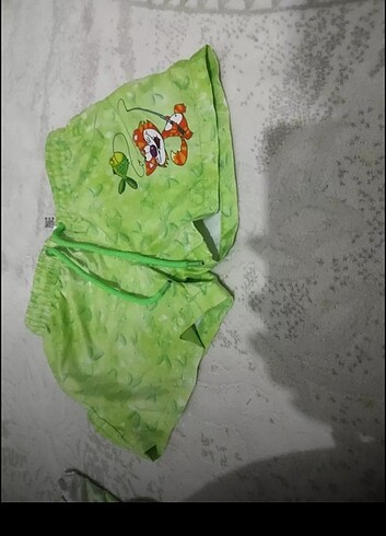 Beden çeşitli Renk Deniz şortu. Slip stop