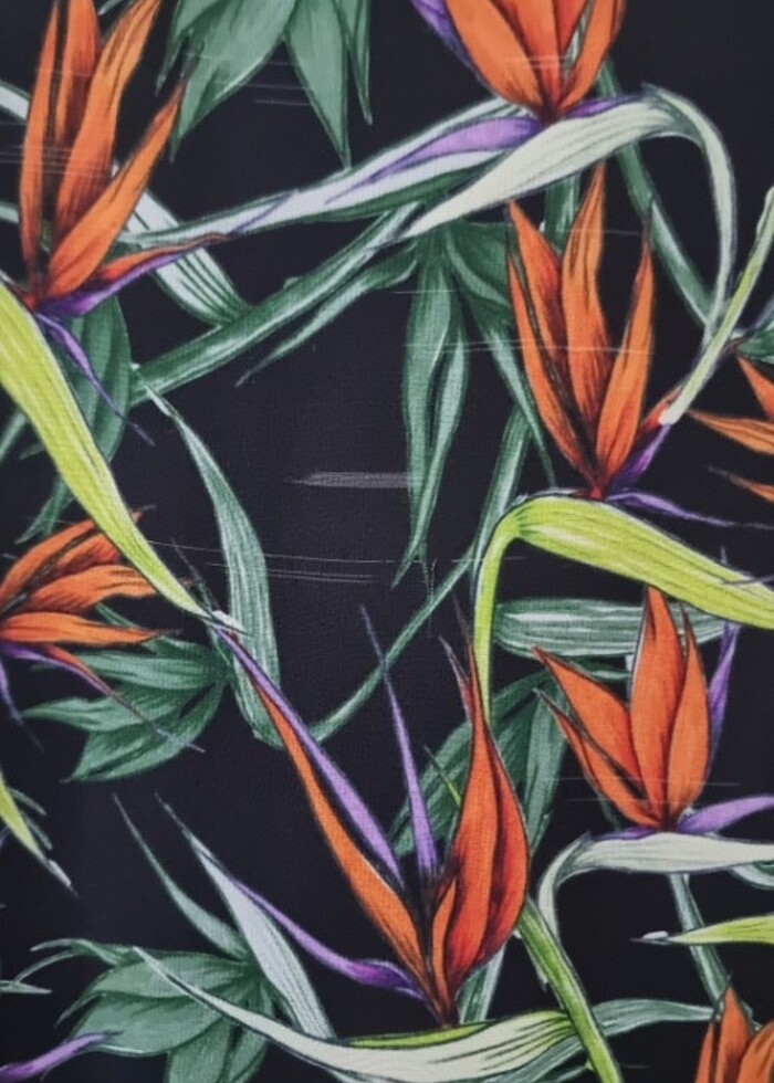 Milla elbose - Görsel 2