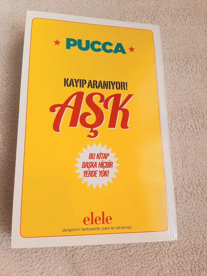 Kayıp Aranıyor! Aşk - Pucca - Görsel 2