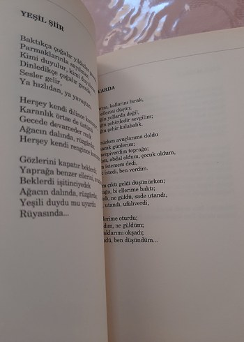 Beden Kısa Devre/Yazma - Can Yücel