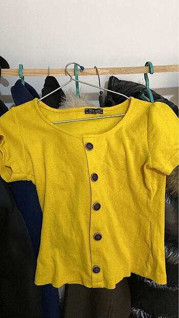 sari tshirt crop