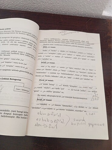 Beden Renk Osmanlı Türkçesi kılavuzu iki