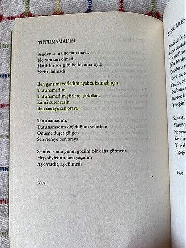 eksik şiir sezen aksu - Görsel 2