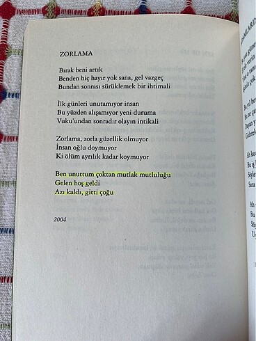 eksik şiir sezen aksu - Görsel 3