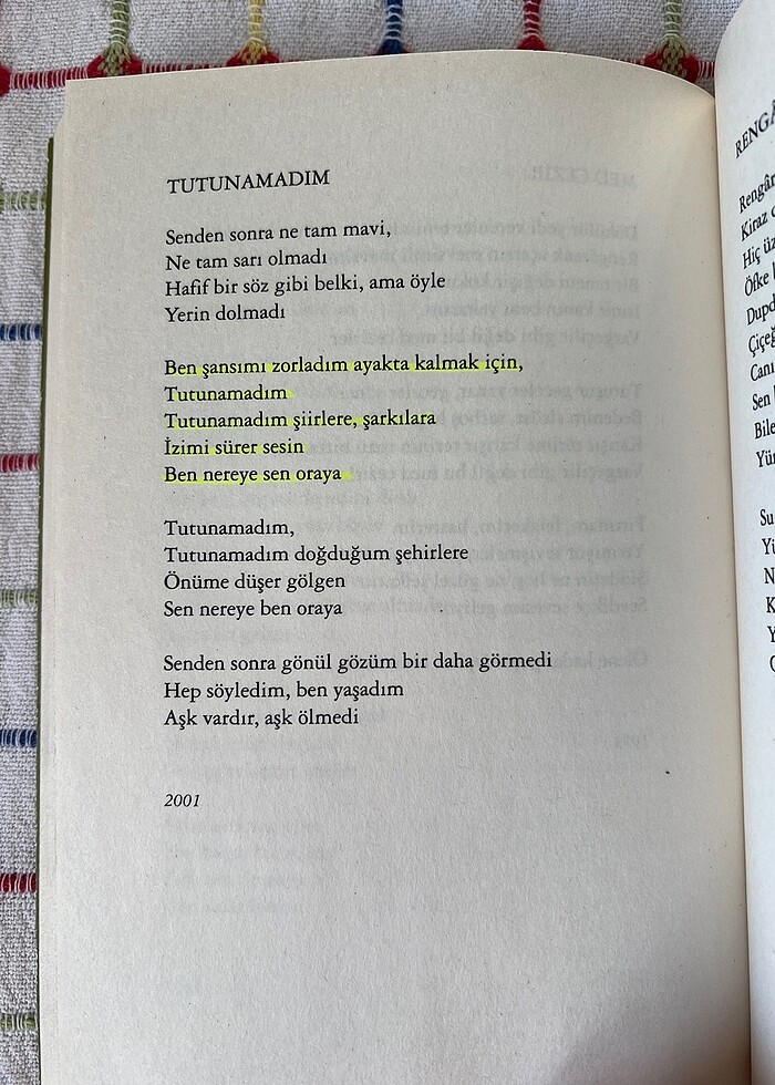 eksik şiir sezen aksu - Görsel 2