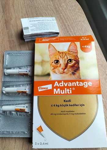 advantage multi 0/4 kedi iç dış