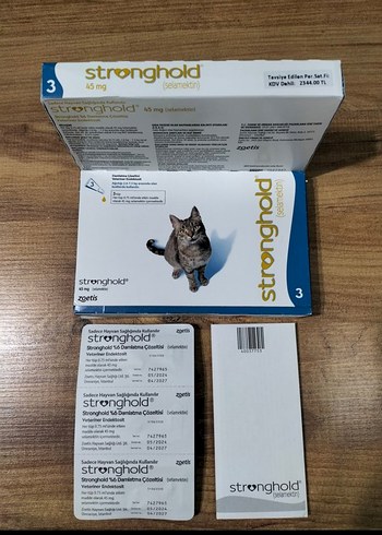 Stronghold Kedi İç dış