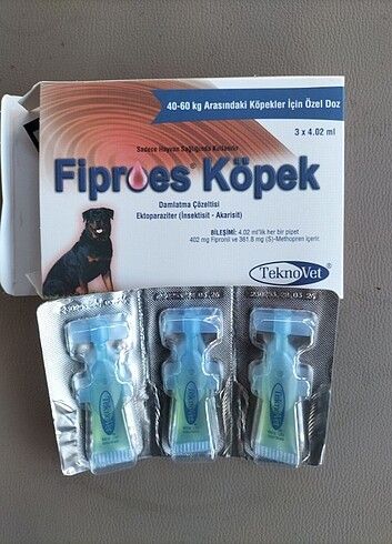 Köpek dış parazit 