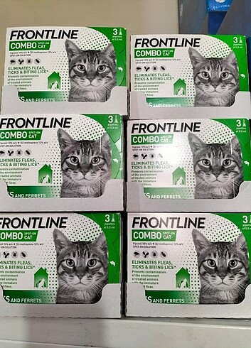 Dış parazit frontline kedi 