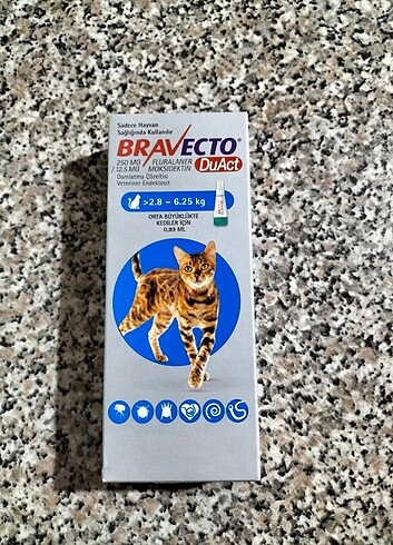 Bravecto küçük kedi