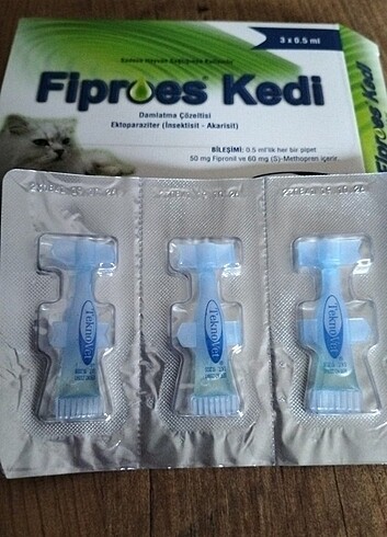 Fibroes kedi dış 