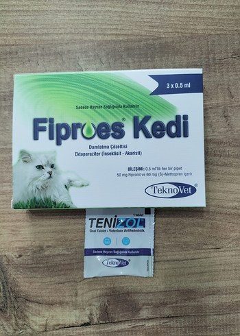 kedi iç dış