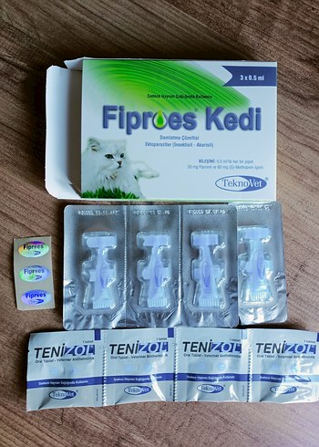 kedi iç dış