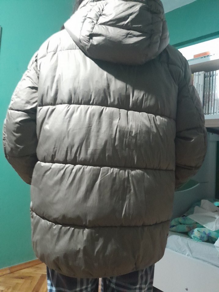 Gri Kadın  Kışlık Mont - Görsel 2