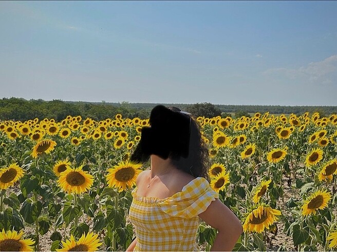 Milla Sarı Bluz