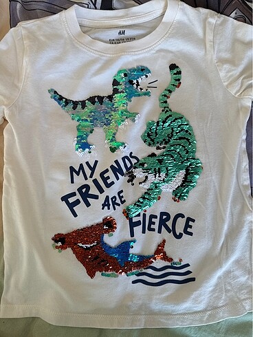 4 Yaş Beden çeşitli Renk H&m pullu tshirt 4-6 yaş