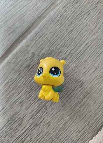  Beden Lps minis