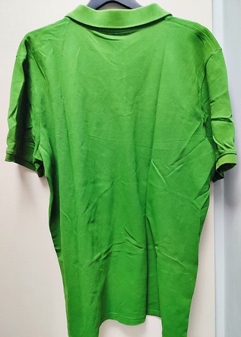 Erkek Yeşil Polo Yaka Tişört - Görsel 6