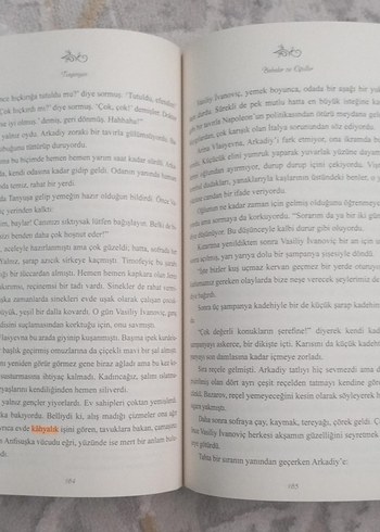 Babalar ve Oğullar - Turgenyev - Görsel 2