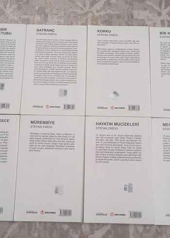 Stefan Zweig Klasikleri Seti 12 kitap - Görsel 2