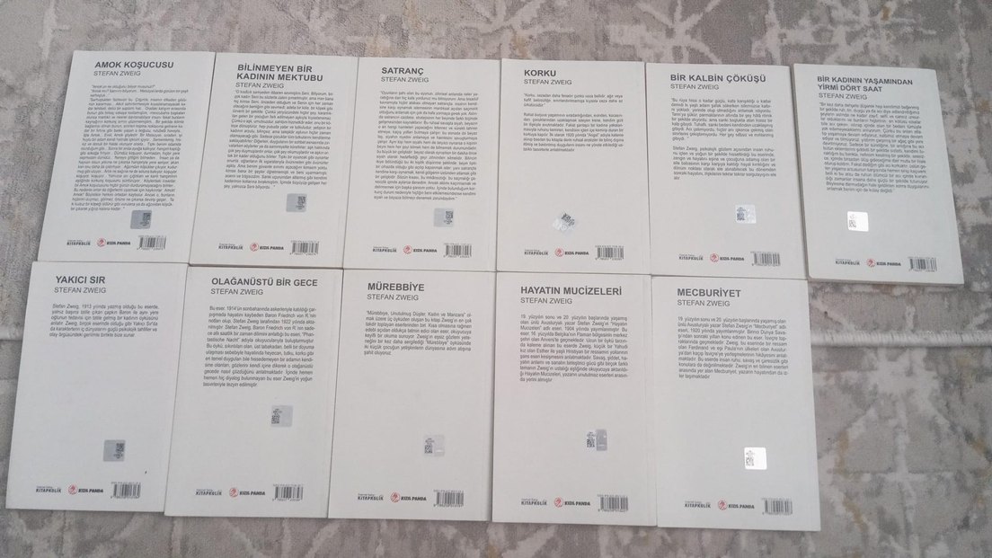 Stefan Zweig Klasikleri Seti 12 kitap - Görsel 2