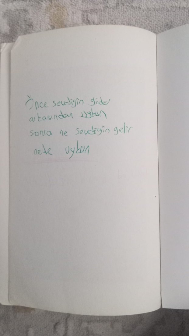 Sait Faik Abasıyanık - Semaver Romanı - Görsel 3