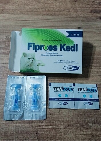 Fibroes iç dış kedi