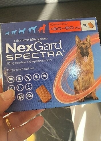 Nexgard spectra köpek 30/60