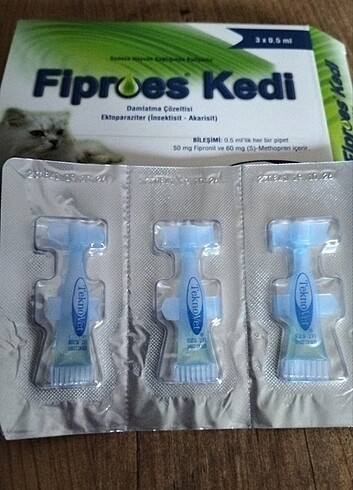 Fibroes kedi dış paraZit 