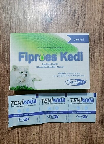 İç dış kedi 