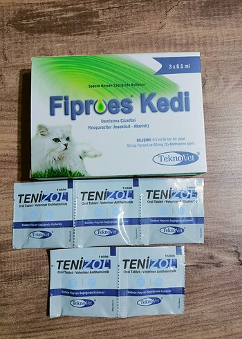 kedi iç dış