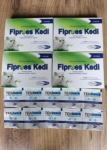 kedi iç dış
