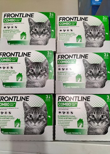 Frontline Combo Kedi dış parazit