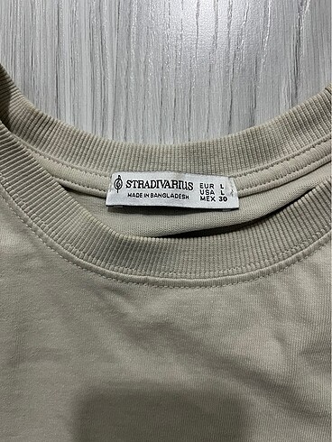 Stradivarius stradivarius crop