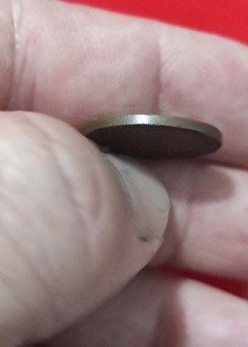 Vintage Erkek Rozeti Gri Tonlarda - Görsel 4