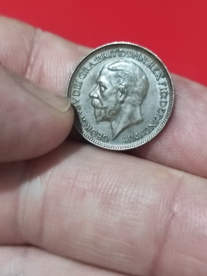 Vintage Erkek Rozeti Gri Tonlarda - Görsel 3