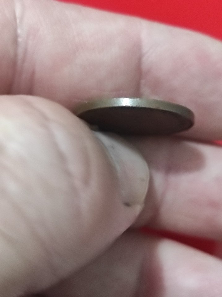 Vintage Erkek Rozeti Gri Tonlarda - Görsel 4