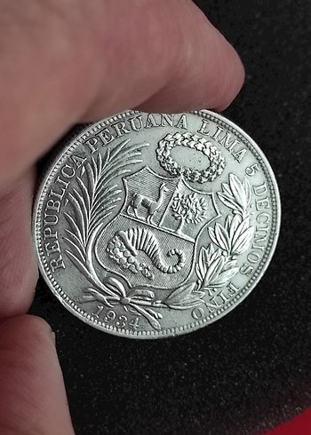 Gri Vintage Erkek Rozeti. 24.91 gram gümüş - Görsel 2