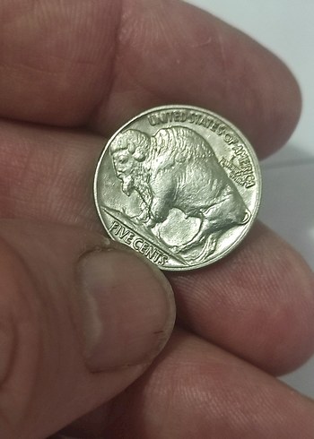 Parlak Kahverengi Vintage Erkek Rozeti Çil 1935 bufolo - Görsel 6