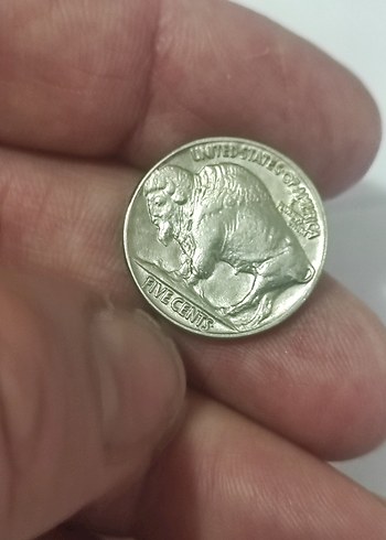 Parlak Kahverengi Vintage Erkek Rozeti Çil 1935 bufolo - Görsel 8