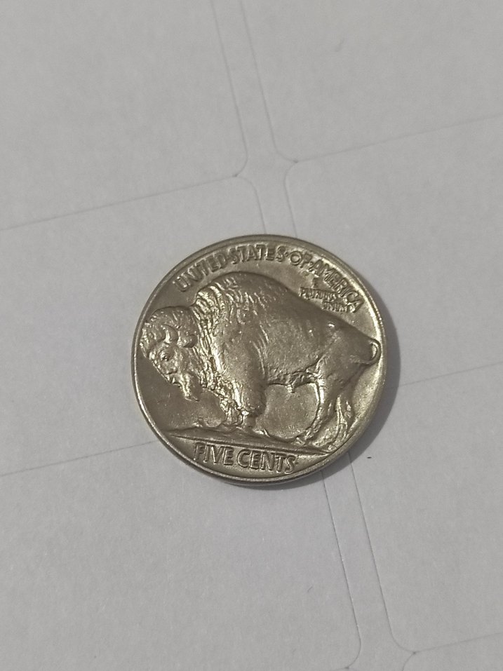 Parlak Kahverengi Vintage Erkek Rozeti Çil 1935 bufolo - Görsel 4